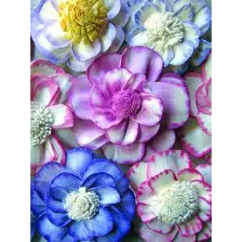 Many Color Shola Flower